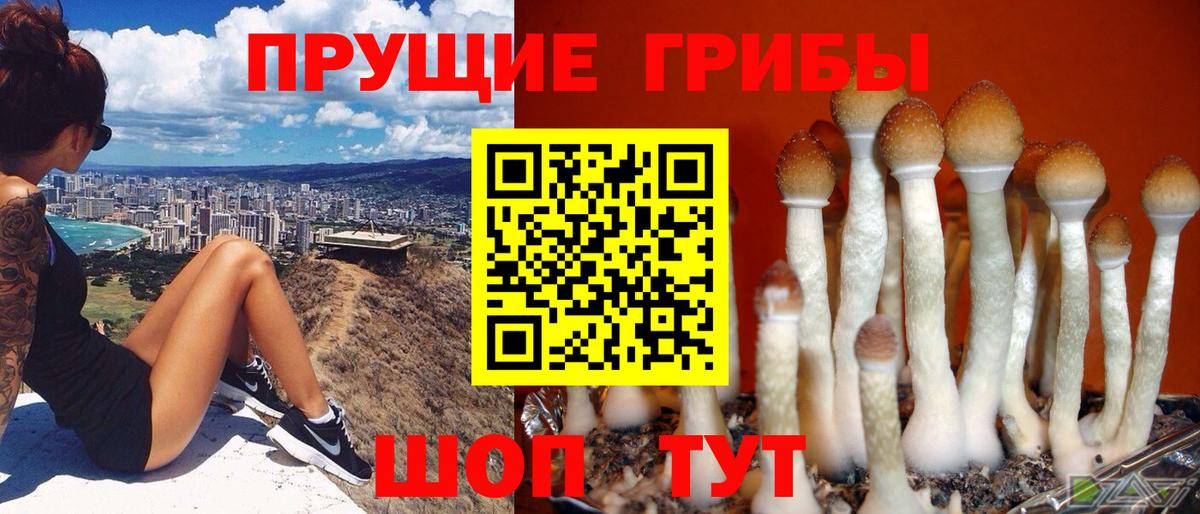 Кизилюрт  закладка  Вход с VPN  Галлюциногенные грибы прущие грибы 