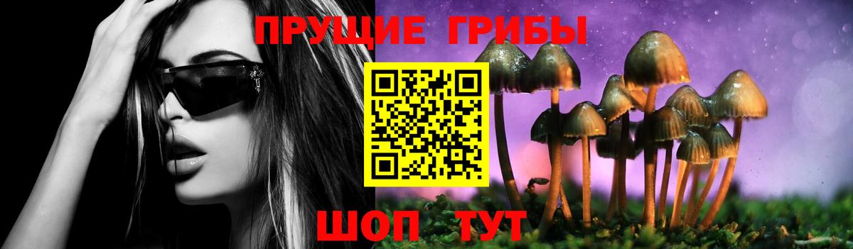 Псилоцибиновые грибы Cubensis Кизилюрт